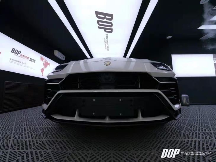 Paint Protection Film PPF Pro