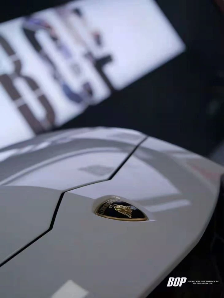 Paint Protection Film PPF Pro